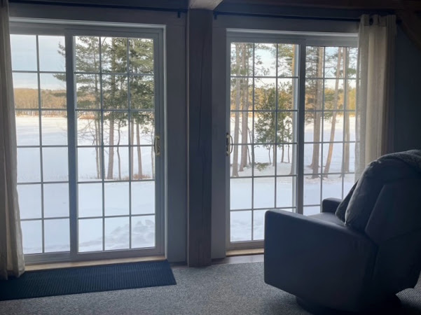 Sliding doors framing the pond in winter