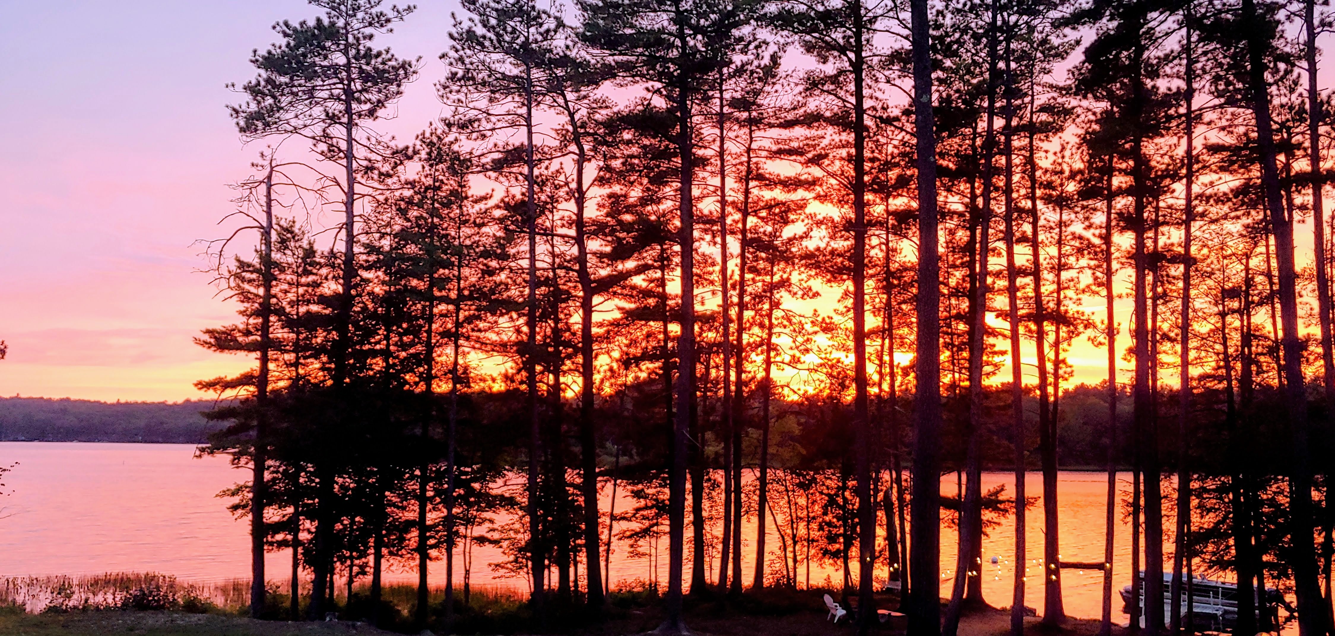 Pink-and-orange sunset through the silhouetted pines
